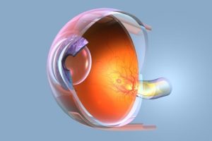 Macular Edema Treatment, Pikesville/Baltimore, MD